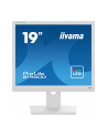 iiyama Monitor 19 cali B1980D-W5 DVI,VGA,PIVIOT,HAS/150mm,5:4 - nr 8