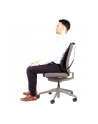 Fellowes Ergonomia  podpórka poduszka pod plecy siatkowa profesjonalna - nr 10