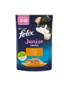 purina nestle Karma Felix Fantastic Junior Kurczak 85g - nr 11