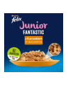 purina nestle Karma Felix Fantastic Junior Kurczak 85g - nr 2