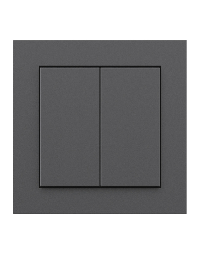 Senic Friends of Hue Smart Switch, switch (anthracite) główny