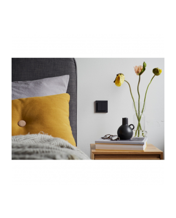Senic Friends of Hue Smart Switch, switch (anthracite)