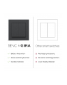 Senic Friends of Hue Smart Switch, switch (anthracite, three-pack) - nr 6