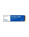 Dysk SSD WD Blue SN580 250GB M2 NVMe WDS250G3B0E - nr 8