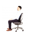Fellowes Ergonomia  podpórka poduszka pod plecy siatkowa profesjonalna - nr 10