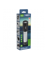 Ansmann Daily Use 300B, flashlight (silver/Kolor: CZARNY) - nr 15