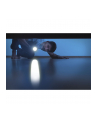 Ansmann Daily Use 300B, flashlight (silver/Kolor: CZARNY) - nr 19