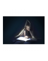 Ansmann Daily Use 300B, flashlight (silver/Kolor: CZARNY) - nr 20