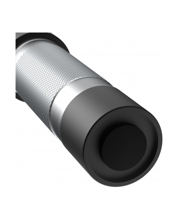 Ansmann Daily Use 300B, flashlight (silver/Kolor: CZARNY)