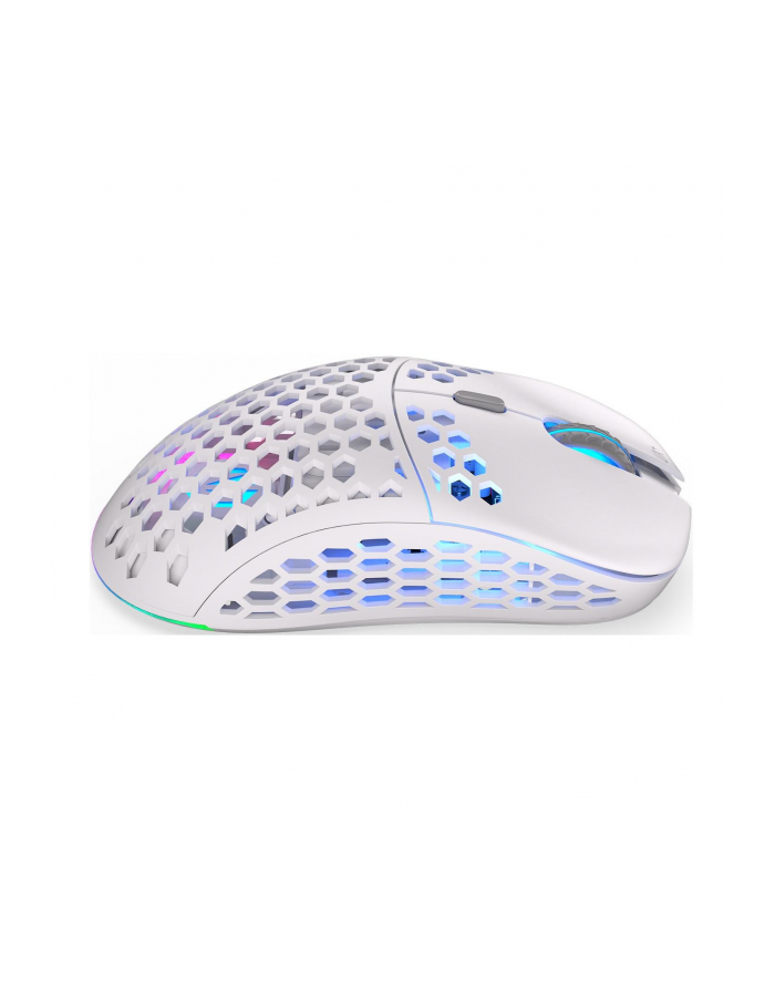 ENDORFY LIX Plus Onyx White Wireless, gaming mouse (Kolor: BIAŁY/grey) główny