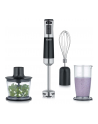 Severin SM 3772, hand blender (Kolor: CZARNY / stainless steel (brushed), with accessory set) - nr 1