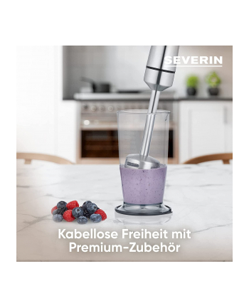 Severin SM 3775, hand blender (stainless steel (brushed)/Kolor: CZARNY, with premium set, cordless)