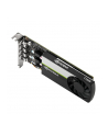 pny Karta graficzna Quadro T1000 4GB DDR6 VCNT1000-SB Bulk - nr 18