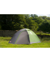 Coleman 3-person dome tent Darwin 3 (grey/light green, model 2023) - nr 11