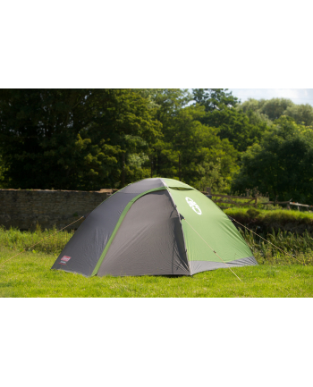 Coleman 3-person dome tent Darwin 3 (grey/light green, model 2023)