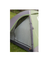 Coleman 3-person dome tent Darwin 3 (grey/light green, model 2023) - nr 14