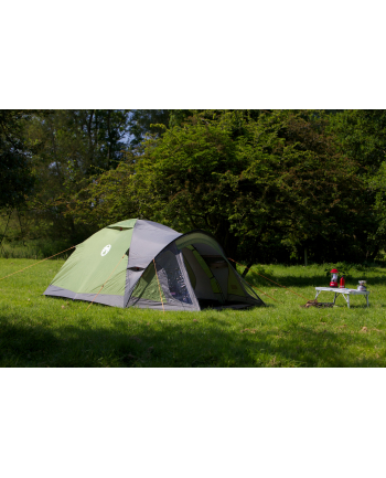 Coleman 3-person dome tent Darwin 4 Plus (grey/light green, with tunnel stem, model 2023)