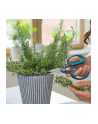 GARD-ENA Secateurs HerbCut (grey/turquoise, herb scissors with defoliation function) - nr 3
