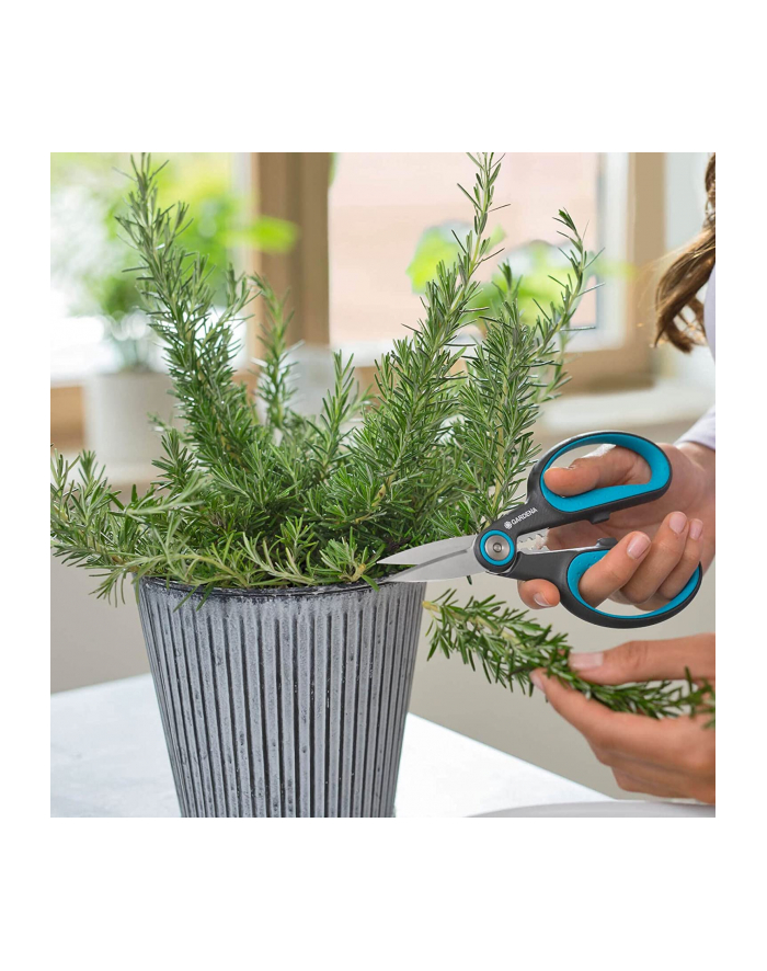 GARD-ENA Secateurs HerbCut (grey/turquoise, herb scissors with defoliation function) główny
