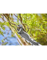 GARD-ENA Cordless Pruning Shears EasyCut 110/18V P4A solo, 18V (dark grey/turquoise, without battery and charger, POWER FOR ALL ALLIANCE) - nr 8