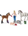 Schleich Farm World visit to the doctor for mare and foal, toy figure - nr 1