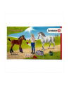 Schleich Farm World visit to the doctor for mare and foal, toy figure - nr 7