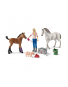 Schleich Farm World visit to the doctor for mare and foal, toy figure - nr 18