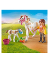 Playmobil 71243 Horse with Foal construction toy - nr 3