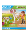 Playmobil 71243 Horse with Foal construction toy - nr 4