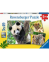 Ravensburger Childrens puzzle panda, tiger and lion (3x 49 pieces) - nr 2