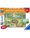 Ravensburger Why? For what reason? Why? Animals in the forest and on the meadow, jigsaw puzzle (2x 12 parts, with knowledge poster) - nr 1