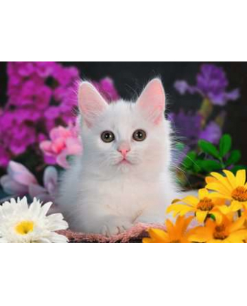 Ravensburger Childrens puzzle glitter cat (100 pieces, glittery pieces)