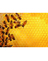 Ravensburger Jigsaw Puzzle Bees (1000 pieces) - nr 2