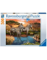 Ravensburger Puzzle Zebras at the Waterhole (500 pieces) - nr 1