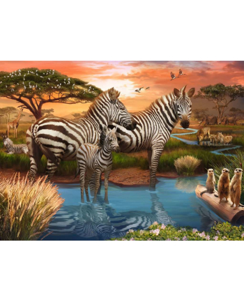 Ravensburger Puzzle Zebras at the Waterhole (500 pieces)