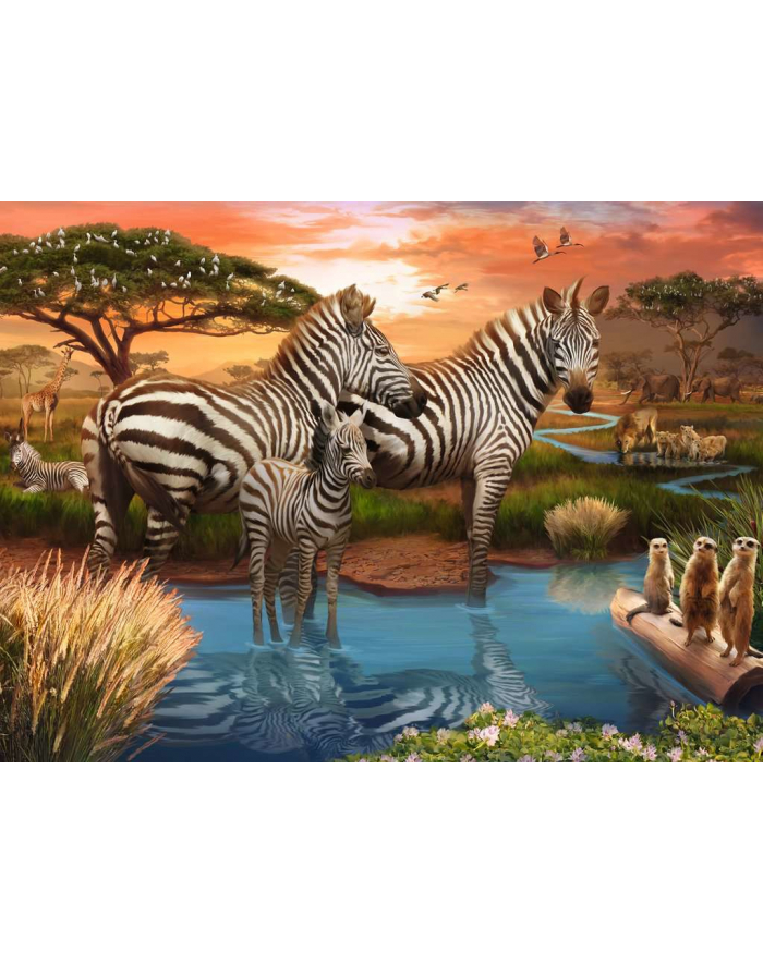 Ravensburger Puzzle Zebras at the Waterhole (500 pieces) główny