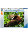Ravensburger Puzzle Cute Red Panda (500 pieces) - nr 2
