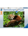 Ravensburger Puzzle Cute Red Panda (500 pieces) - nr 6