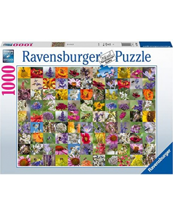 Ravensburger jigsaw puzzle 99 bees (1000 pieces)