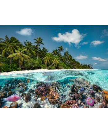 Ravensburger Jigsaw Puzzle A dive in the Maldives (2000 pieces)