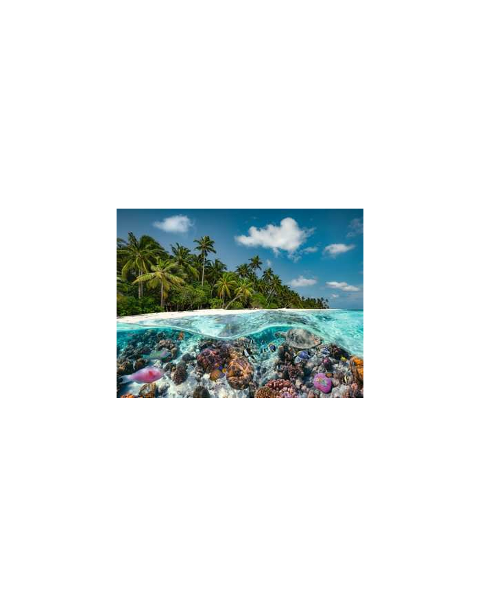 Ravensburger Jigsaw Puzzle A dive in the Maldives (2000 pieces) główny