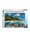 Ravensburger Jigsaw Puzzle A dive in the Maldives (2000 pieces) - nr 5