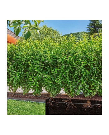 GARD-ENA Micro-Drip-System drip irrigation hedges/bushes set, 25 meters, drippers (Kolor: CZARNY, model 2023, above and below ground)