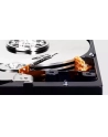 western digital WD Blue 1TB SATA 3.5inch HDD 6Gb/s - nr 4