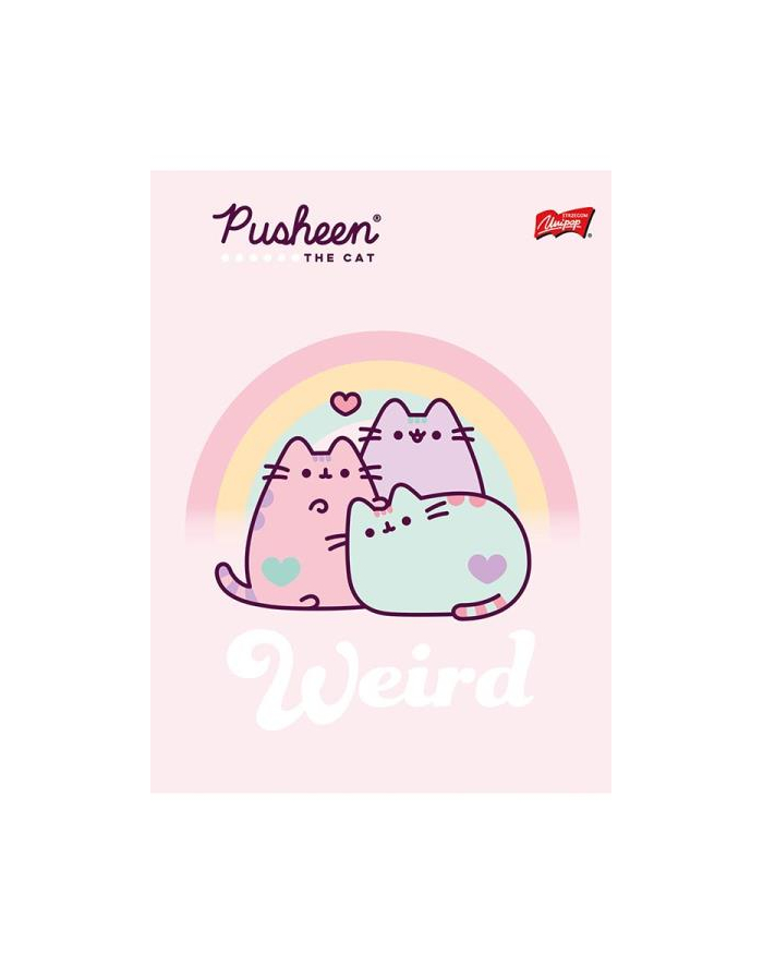 majewski Zeszyt A5 16k kratka laminowany PUSHEEN główny