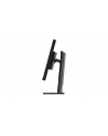 LENOVO ThinkVision P32pz-30 31.5inch IPS WLED 16:9 1200cd/m2 2xHDMI DP in DP out USB - nr 6