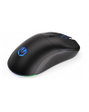 endorfy Mysz GEM Plus Wireless - nr 60