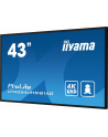 iiyama Monitor 43 cale LH4354UHS-B1G 24/7, IPS, ANDROID.11, 4K, SDM, 2x10W - nr 12