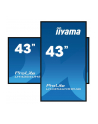 iiyama Monitor 43 cale LH4354UHS-B1G 24/7, IPS, ANDROID.11, 4K, SDM, 2x10W - nr 62