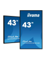 iiyama Monitor 43 cale LH4354UHS-B1G 24/7, IPS, ANDROID.11, 4K, SDM, 2x10W - nr 63